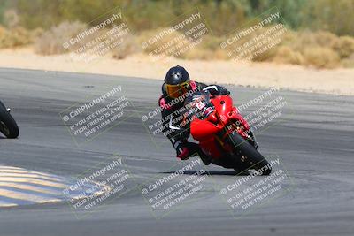 media/Apr-10-2022-SoCal Trackdays (Sun) [[f104b12566]]/Turn 10 (1pm)/